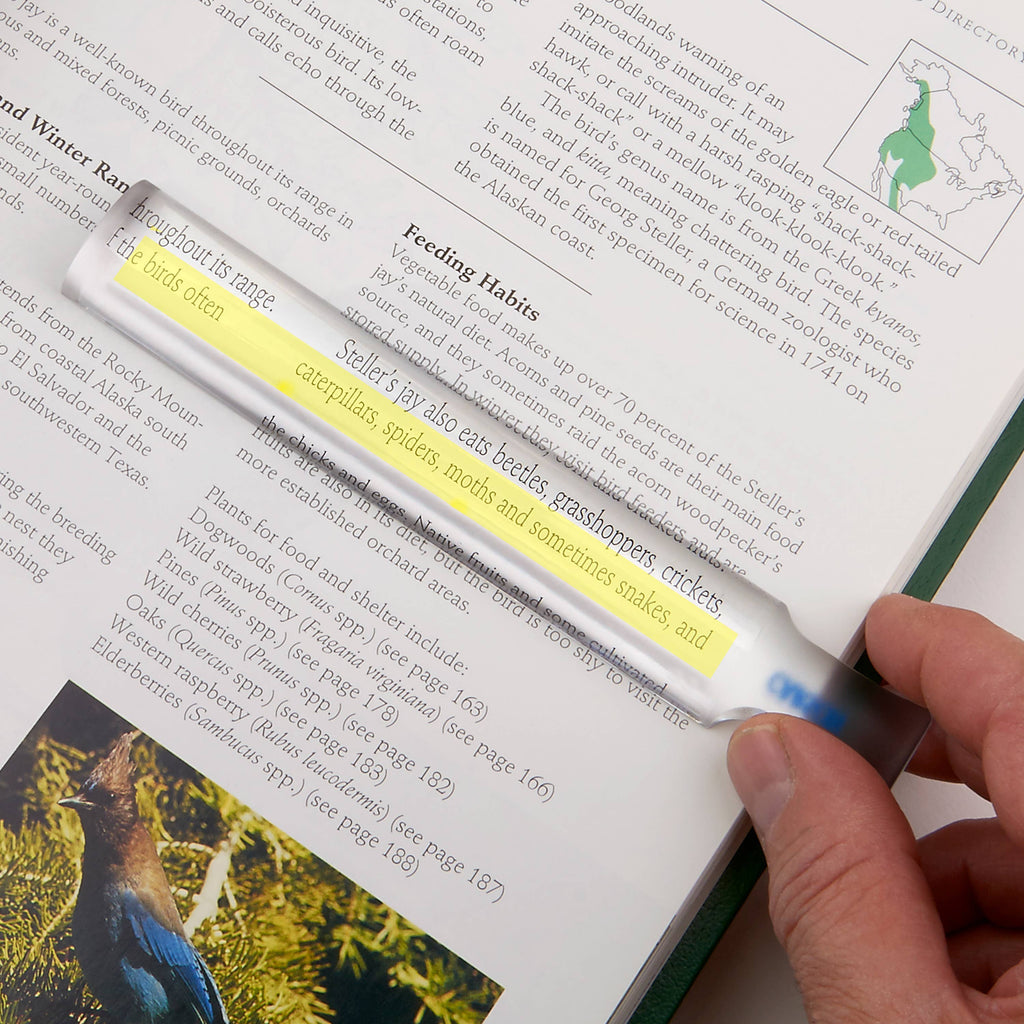 Carson MagniRead MR-25 1.5x Bar Magnifier with Reading Guide